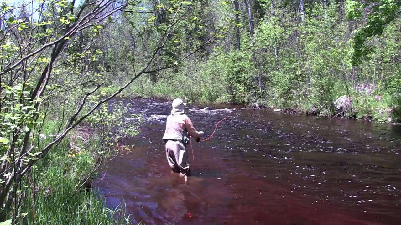Fly Fishing the Ford River, MI UP YouTube