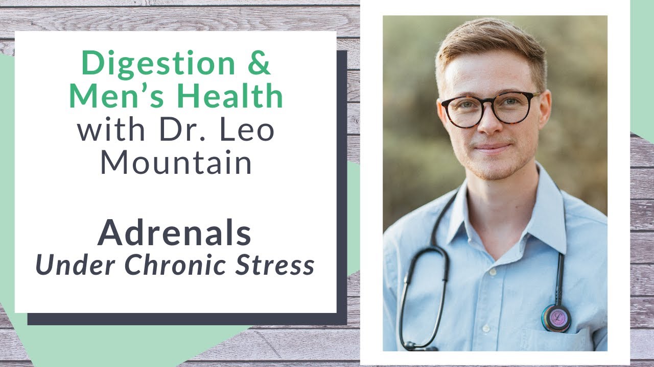 Adrenal Health: Under Chronic Stress - YouTube