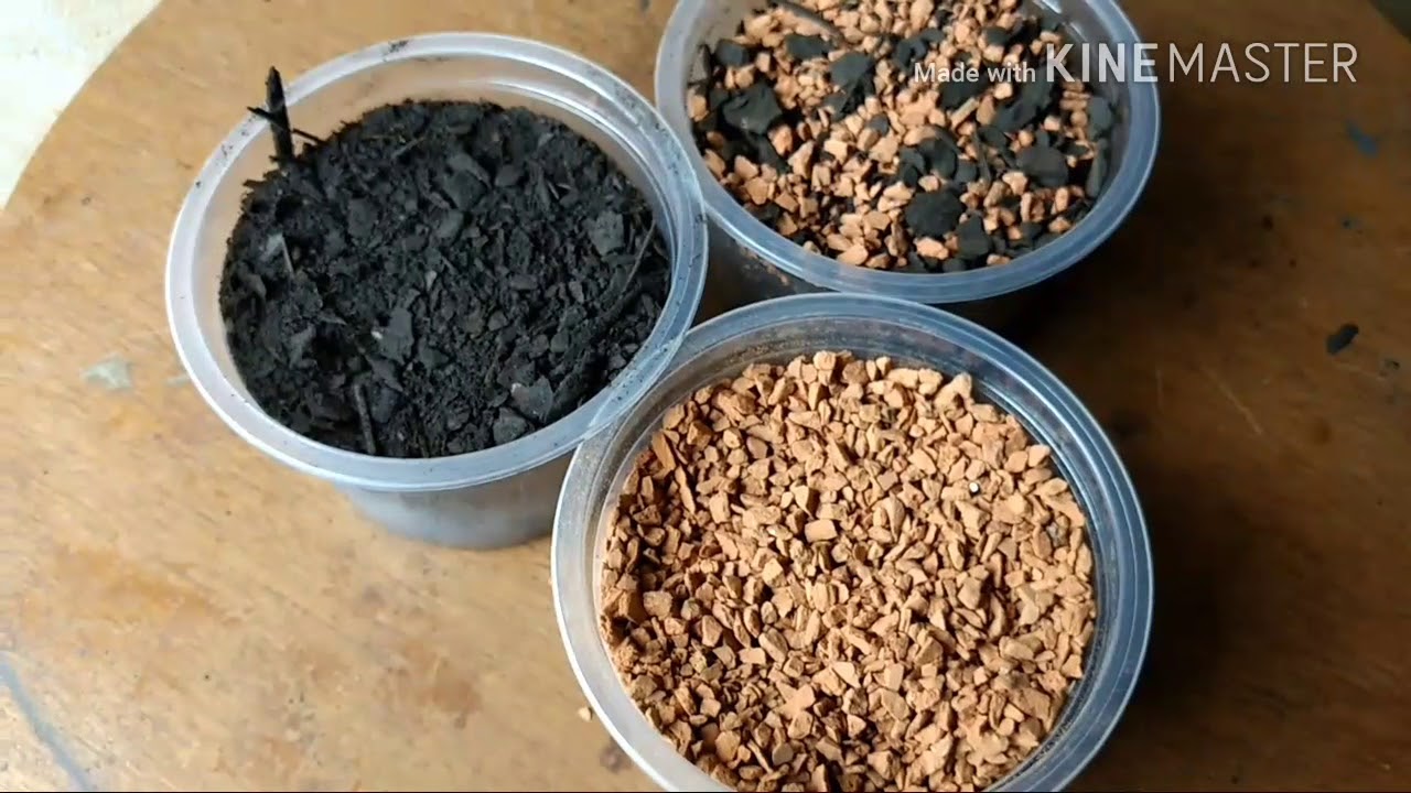 Meu substrato! (Substrato para bonsai)