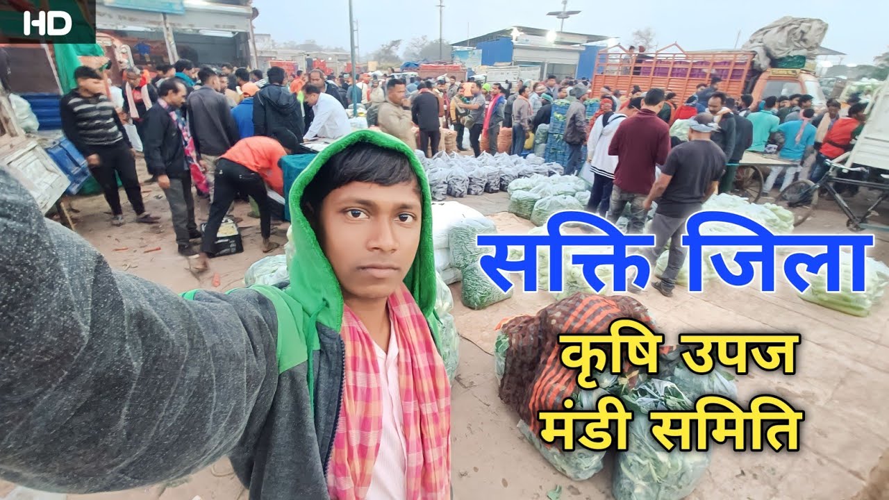 Krishi Upaj Mandi Samiti Sakti Jila Vlog | सब्जियों का बड़ा बाज़ार सक्ति | Arya Vlogs World