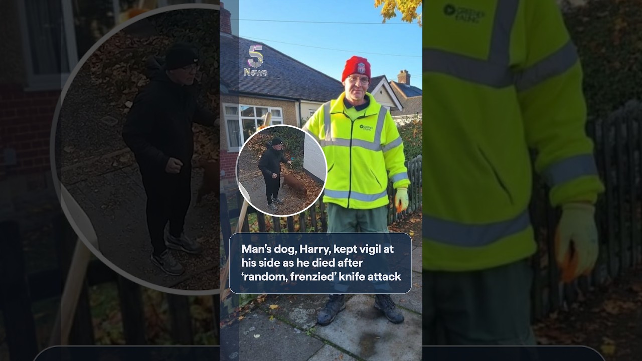 Man’s dog, Harry, kept vigil at his side as he died after ‘random, frenzied’ knife attack