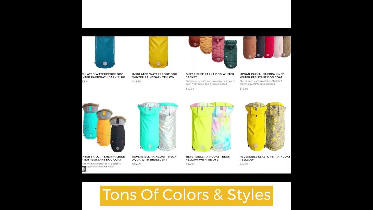 Best Dog Winter Jackets For Vizslas YouTube