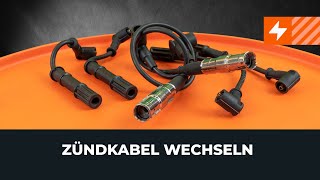 Wie Zündkerzenkabel wechseln - Online-Video kostenlos