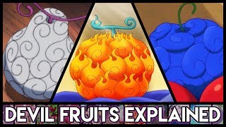 Explaining Devil Fruits - Everything You Need To Know | One Piece Explained