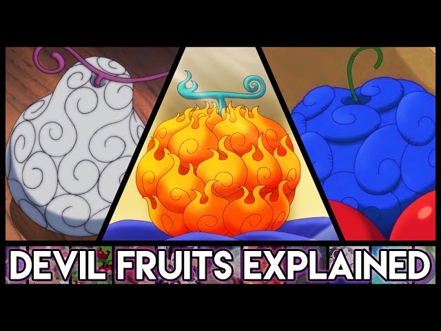 Devil Fruits in One Piece