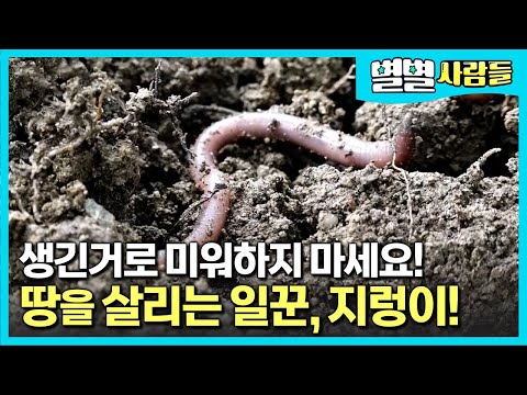 지렁이 한번 키워보실래요? 생김새와 달리 엄청나..! 생태계 청소하고 비료 제공하는 땅을 지렁이! [ 별별사람들 ]
