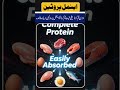Best Protein for Belly Fat Loss – Plant vs Animal Explained! #fitness #diet #fatLoss