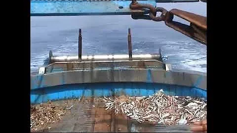 Come si dice pescatore al femminile?