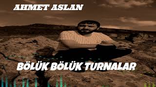 Kirşehi̇rli̇ Ahmet Aslan Bölük Bölük Turnalar Bozlak 2021