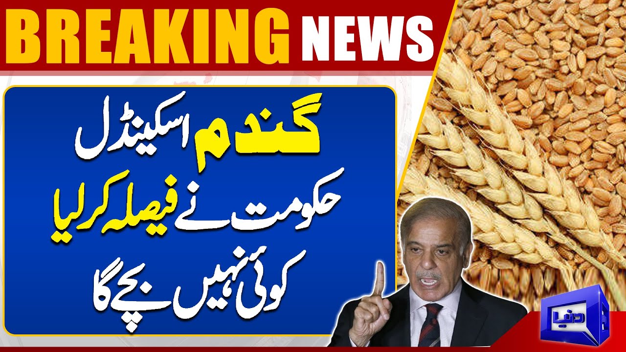 Shocking Revelations In Wheat Scandal Inquiry Committee Report Govt