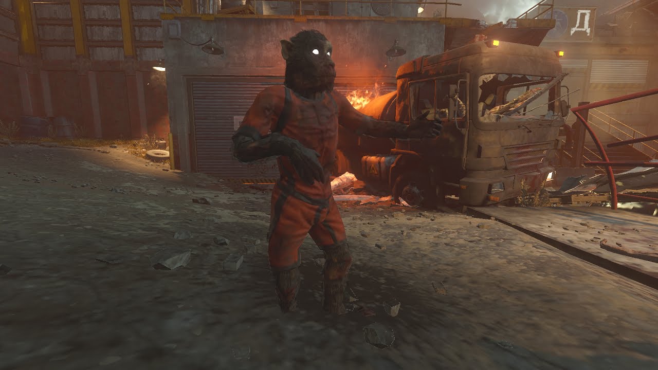 Monkey dancing on Ascension.