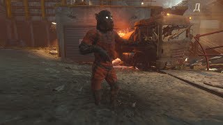 Monkey dancing on Ascension.