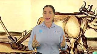 EL VIRREINATO Y LAS NUEVAS ACTIVIDADES ECONÓMICAS