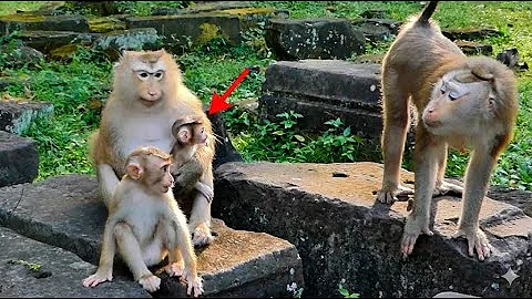 what would you want to do to newborn of mom Rose. Reaction Libby !