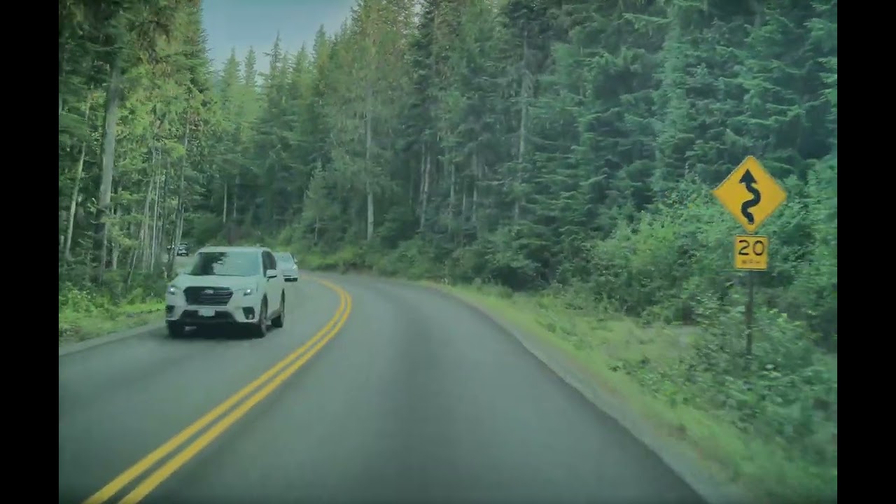 Rainier Front To Paradise