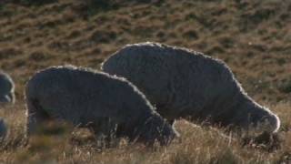 CNN: Forward-thinking farmers in Argentina