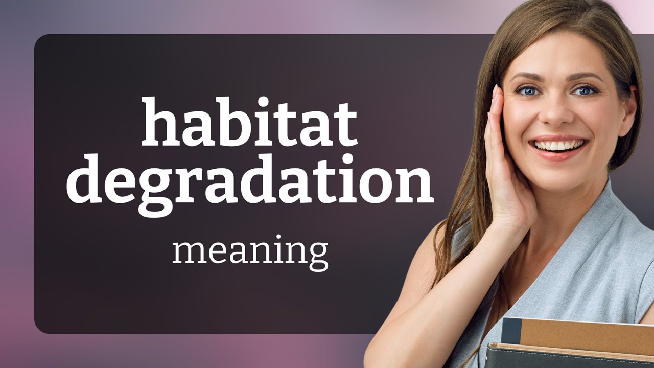 Understanding Habitat Degradation: A Threat to Our Environment