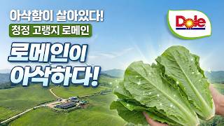 Dole 로메인하트