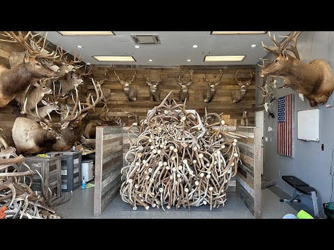GARAGE UPDATE AND NEW ADDITIONS | DAILY VLOG