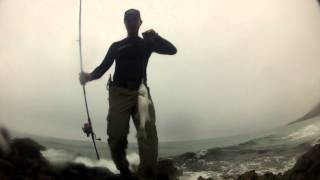 Lubinas pescadas con Crazy Sand eel