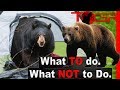 How to backpack in bear country  how to handle and prevent bear encounters