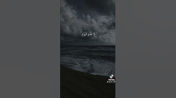 حالات واتساب قران كريم