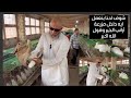 شوف احنا بنعمل ايه داخل مزرعة أرانب الخير وقول الله اكبر هي دي أرانب الشيخ سامر