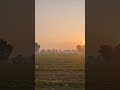 #good morning 🌄 #morninghabits #best # morning view # best sunrise
