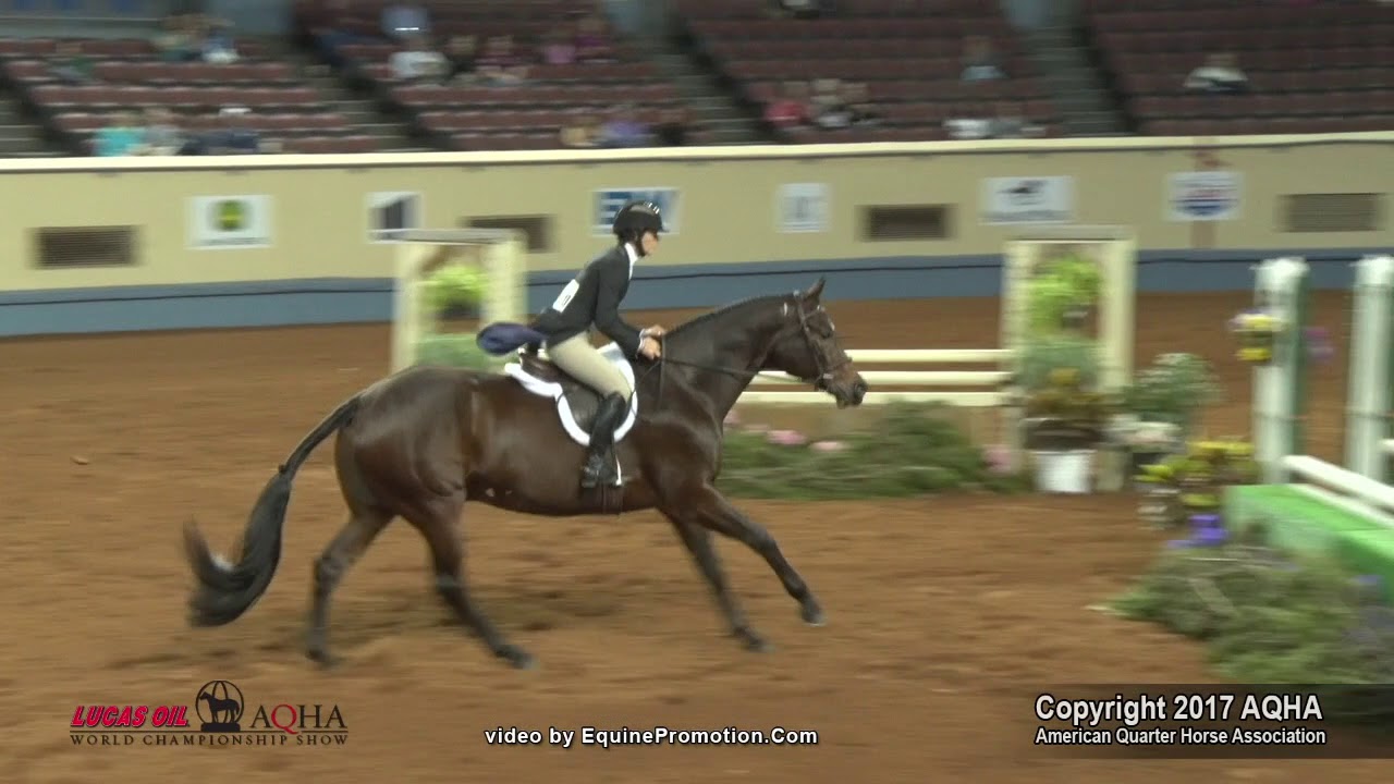 A Judge's Perspective: 2017 AQHA World Senior Working Hunter World Champion