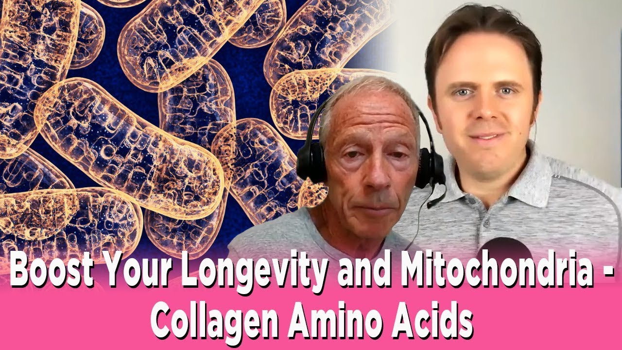 Boost Your Longevity and Mitochondria - Collagen Amino Acids with Dr. Friedlander Podcast | 
