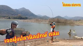 Ep62/1 เจอฝูงปลานิลยักษ์ ถล่มหมายแค้มป์ปิ้ง ตกปลา แก่งกระจาน (ออนทัวร์fishing)