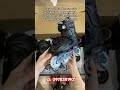 Giày patin Fe đen cao cấp độ full 8 bánh xanh lá mix xanh dương của khách Bình Dương