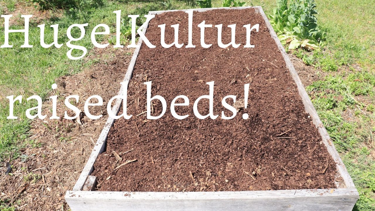 Hugelkultur raised beds! VID16 YouTube