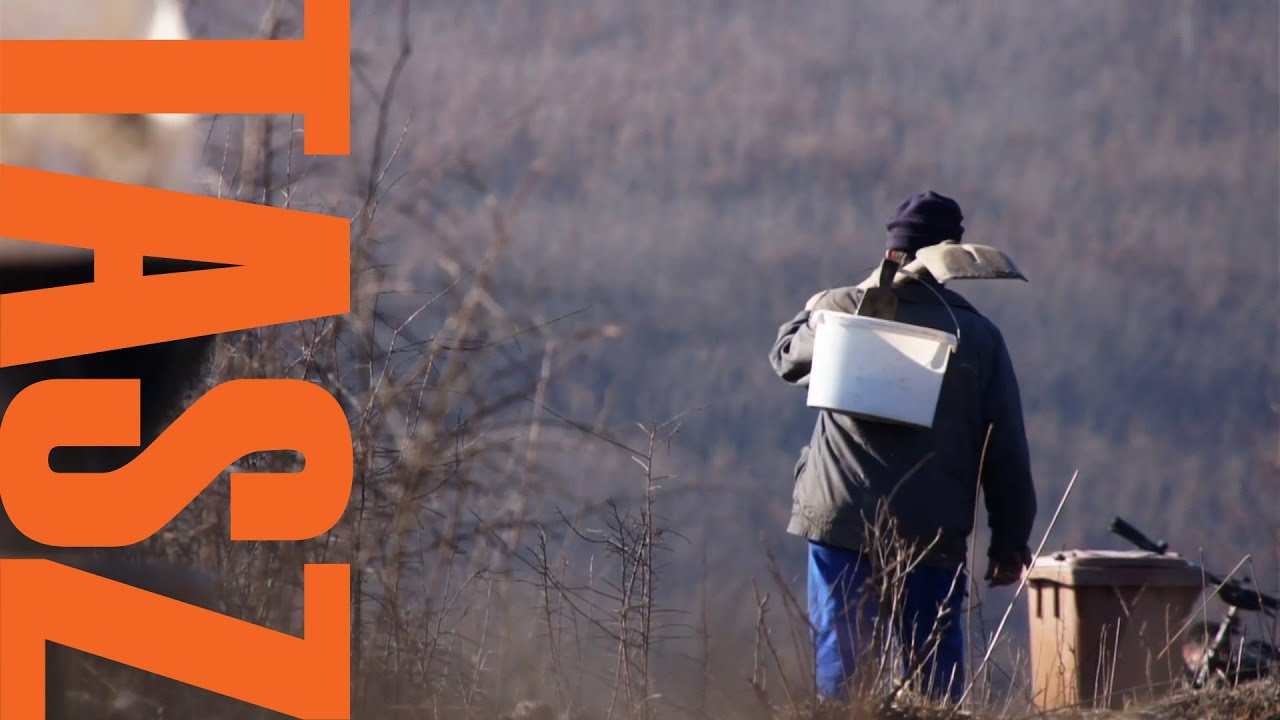 ESÉLYTELENÜL - A TASZ Romaprogramjának tapasztalatai - Without a Chance