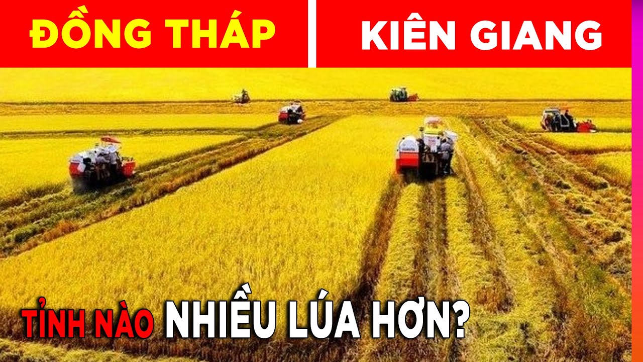 Thử Tài Địa Lý Việt Nam 99% Trả Lời Sai - Bạn Có Muốn... - youtube