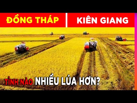 Video Thử Tài Địa Lý Việt Nam 99% Trả Lời Sai - Bạn Có Muốn... - youtube