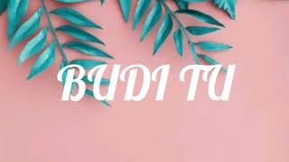 Voyage & Breskvica - Budi tu ( Tekst pesme / Lyrics) Audio HD