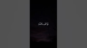 ماهر المعيقلي تلاوة خاشعة ومؤثرة ارح سمعك