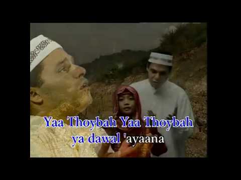 Haddad Alwi -