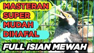 Burung Jalak Suren Isian Mewah Gacor  Isian Tembakan Tengkek Buto Unik Mantap