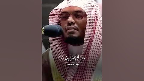 #الشيخ_ياسر_الدوسري-الحرم#المكي-سورة|فصلت