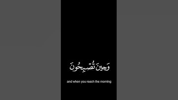 فسبحان الله حين تمسون وحين تصبحون - #عبدالله_الخلف #كروما #سورة_الروم #حالة_واتس