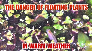 A Floating Plant Warning ⚠️ Just as You Thought, You'd Lost Fish Every Way Possible, HERE'S ONE MORE