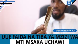 IJUE FAIDA YA MAGOME YA MTI WA MSAKA UCHAWI NA MPANDE| SHEIKH YUSSUF BIN ALLY