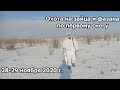 Первая охота на зайца по белой тропе.  Северный регион Алматинской области.