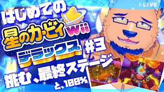 【完全初見】剣飲み込んでも大丈夫ならマグマも耐えてくれ。ラスボス倒しつつ100%目指します。【星のカービィ Wii デラックス #3】