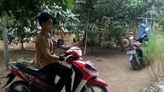 Dj SPONGEBOB VERSI BURUNG GAGAK | VIRAL!!!