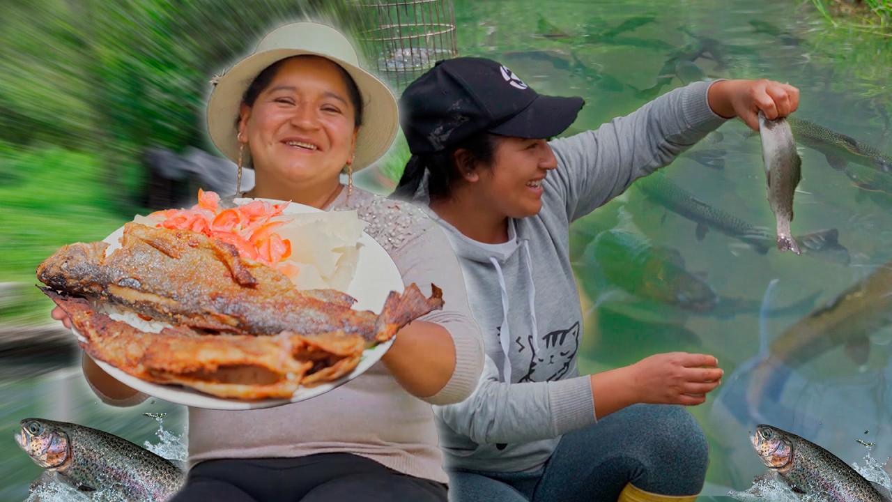 Pescamos TRUCHAS en el Campo y las Preparamos al Instante