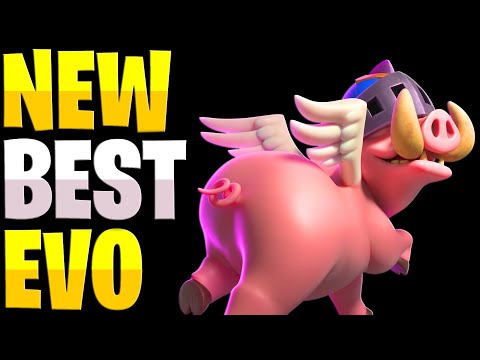 No Way Royal Hogs Are This STRONG! (Royal Hogs Evolution)