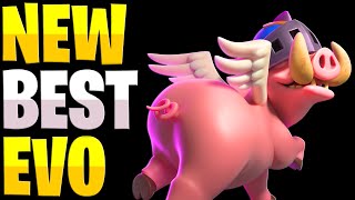 No Way Royal Hogs Are This STRONG! (Royal Hogs Evolution)